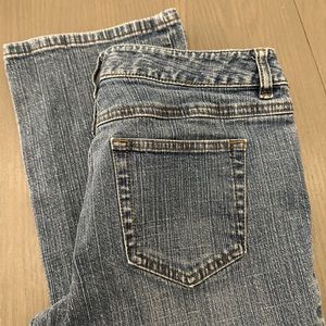 Ann Taylor Loft Bootleg 4P Jeans